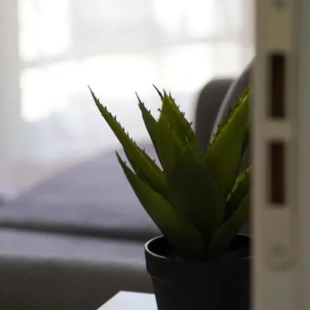 Kalpazo Myslym Shyri * تيرانا